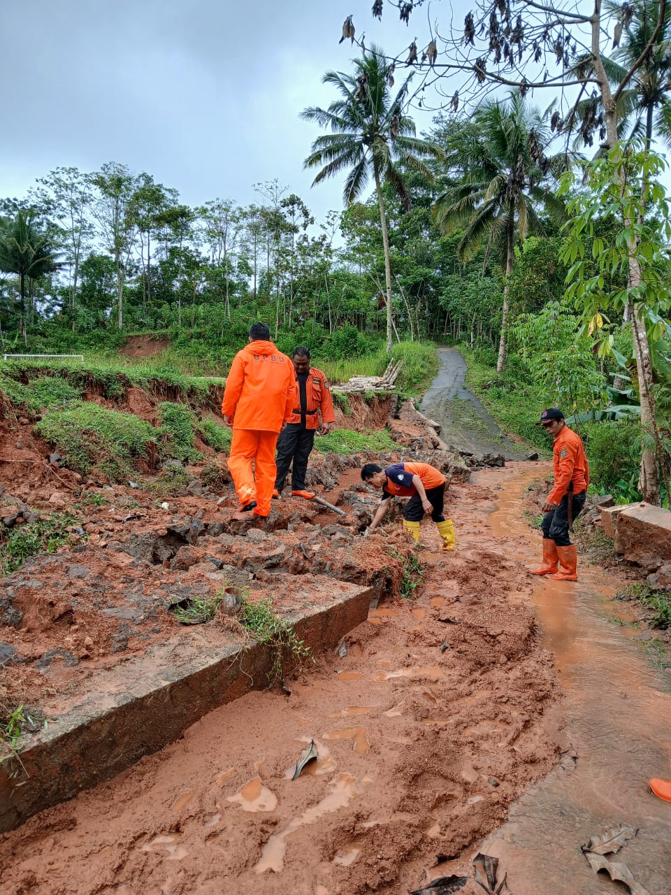 Berita Image
